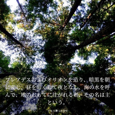 Picture 03 - アモス書 5:8 JPN - プレアデスおよびオリオンを造り、 - Bible Verse Picture