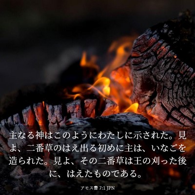 Picture 03 - アモス書 7:1 JPN - 主なる神はこのようにわたしに示さ - Bible Verse Picture