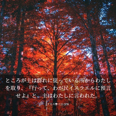Picture 03 - アモス書 7:15 JPN - ところが主は群れに従っている所か - Bible Verse Picture