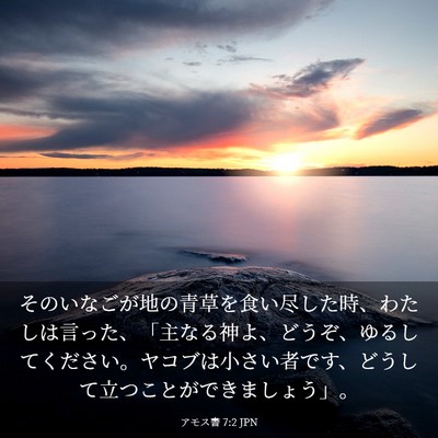 Picture 03 - アモス書 7:2 JPN - そのいなごが地の青草を食い尽した - Bible Verse Picture