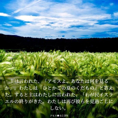 Picture 03 - アモス書 8:2 JPN - 主は言われた、「アモスよ、あなた - Bible Verse Picture