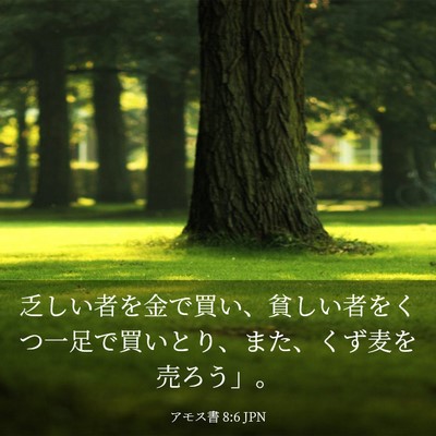Picture 03 - アモス書 8:6 JPN - 乏しい者を金で買い、貧しい者をく - Bible Verse Picture