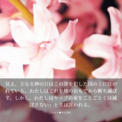 Picture 03 - アモス書 9:8 JPN - 見よ、主なる神の目はこの罪を犯し - Bible Verse Picture