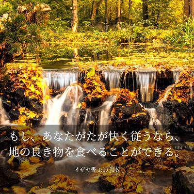 Picture 03 - イザヤ書 1:19 JPN - もし、あなたがたが快く従うなら、 - Bible Verse Picture
