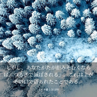 Picture 03 - イザヤ書 1:20 JPN - しかし、あなたがたが拒みそむくな - Bible Verse Picture