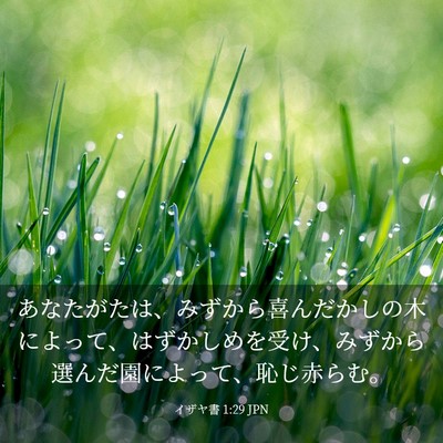 Picture 03 - イザヤ書 1:29 JPN - あなたがたは、みずから喜んだかし - Bible Verse Picture