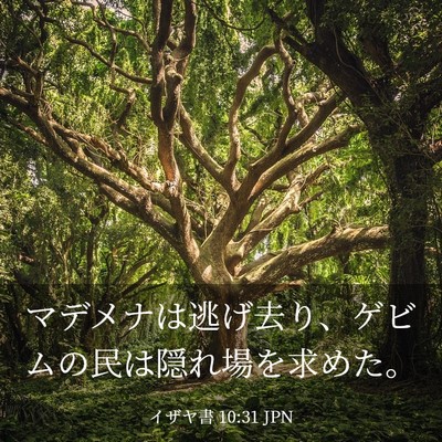 Picture 03 - イザヤ書 10:31 JPN - マデメナは逃げ去り、ゲビムの民は - Bible Verse Picture