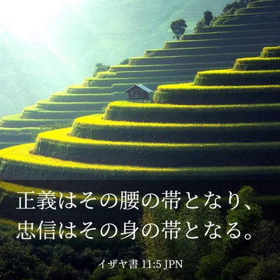 Picture 03 - イザヤ書 11:5 JPN - 正義はその腰の帯となり、忠信はそ - Bible Verse Picture