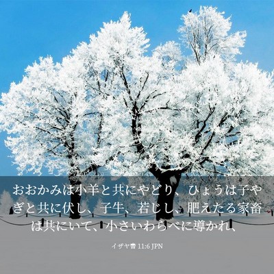 Picture 03 - イザヤ書 11:6 JPN - おおかみは小羊と共にやどり、ひょ - Bible Verse Picture