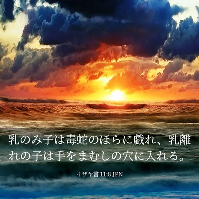 Picture 03 - イザヤ書 11:8 JPN - 乳のみ子は毒蛇のほらに戯れ、乳離 - Bible Verse Picture