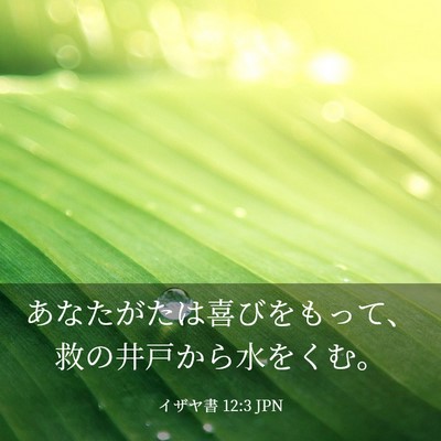Picture 03 - イザヤ書 12:3 JPN - あなたがたは喜びをもって、救の井 - Bible Verse Picture