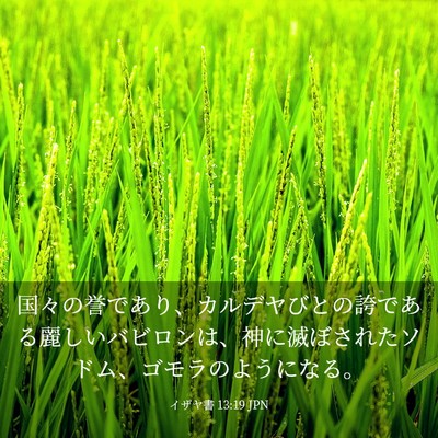 Picture 03 - イザヤ書 13:19 JPN - 国々の誉であり、カルデヤびとの誇 - Bible Verse Picture
