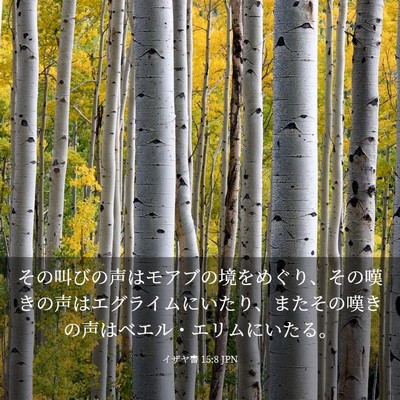 Picture 03 - イザヤ書 15:8 JPN - その叫びの声はモアブの境をめぐり - Bible Verse Picture