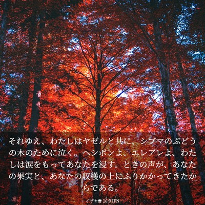 Picture 03 - イザヤ書 16:9 JPN - それゆえ、わたしはヤゼルと共に、 - Bible Verse Picture