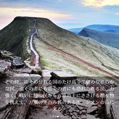 Picture 03 - イザヤ書 18:7 JPN - その時、川々の分れる国のたけ高く - Bible Verse Picture