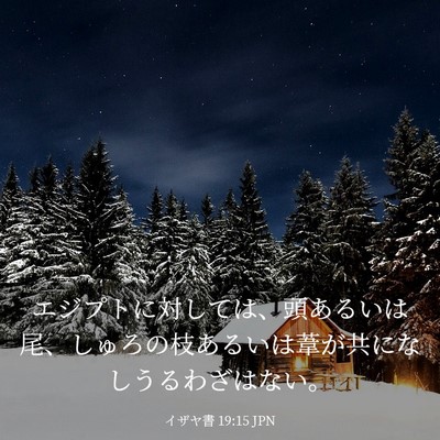 Picture 03 - イザヤ書 19:15 JPN - エジプトに対しては、頭あるいは尾 - Bible Verse Picture