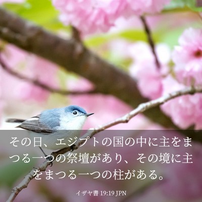 Picture 03 - イザヤ書 19:19 JPN - その日、エジプトの国の中に主をま - Bible Verse Picture