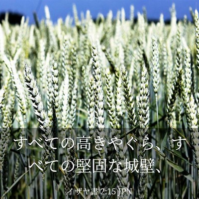 Picture 03 - イザヤ書 2:15 JPN - すべての高きやぐら、すべての堅固 - Bible Verse Picture