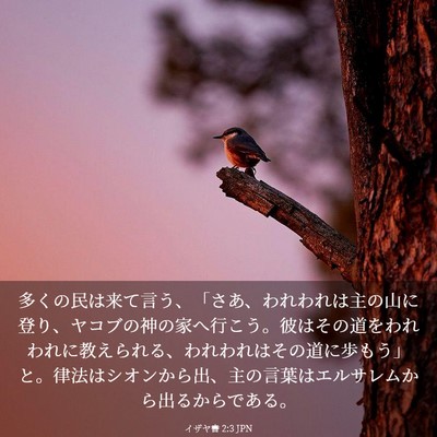 Picture 03 - イザヤ書 2:3 JPN - 多くの民は来て言う、「さあ、われ - Bible Verse Picture