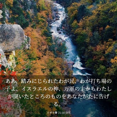 Picture 03 - イザヤ書 21:10 JPN - ああ、踏みにじられたわが民、わが - Bible Verse Picture