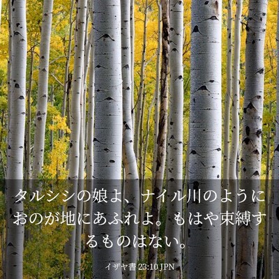 Picture 03 - イザヤ書 23:10 JPN - タルシシの娘よ、ナイル川のように - Bible Verse Picture