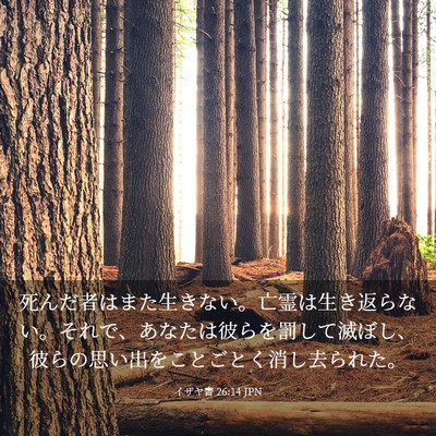 Picture 03 - イザヤ書 26:14 JPN - 死んだ者はまた生きない。亡霊は生 - Bible Verse Picture