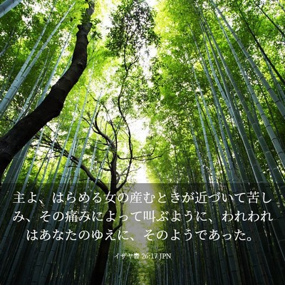 Picture 03 - イザヤ書 26:17 JPN - 主よ、はらめる女の産むときが近づ - Bible Verse Picture