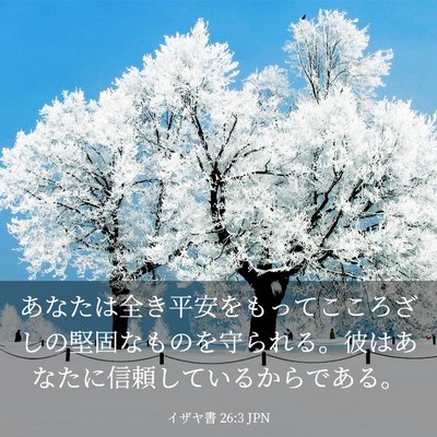 Picture 03 - イザヤ書 26:3 JPN - あなたは全き平安をもってこころざ - Bible Verse Picture