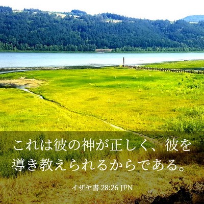 Picture 03 - イザヤ書 28:26 JPN - これは彼の神が正しく、彼を導き教 - Bible Verse Picture