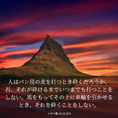 Picture 03 - イザヤ書 28:28 JPN - 人はパン用の麦を打つとき砕くだろ - Bible Verse Picture