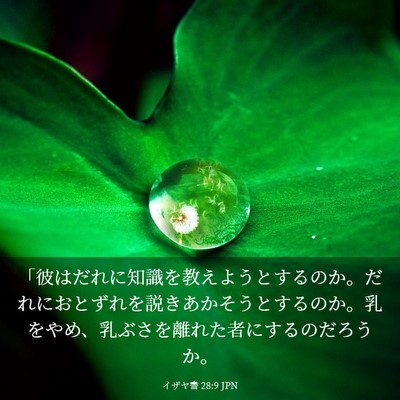 Picture 03 - イザヤ書 28:9 JPN - 「彼はだれに知識を教えようとする - Bible Verse Picture