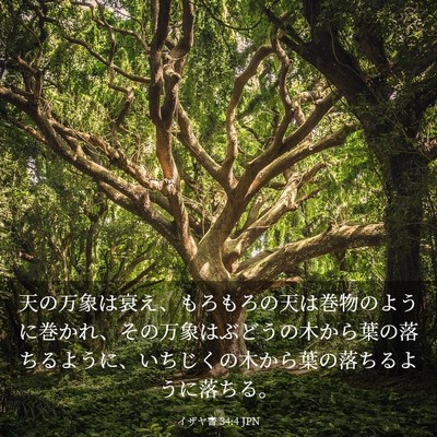 Picture 03 - イザヤ書 34:4 JPN - 天の万象は衰え、もろもろの天は巻 - Bible Verse Picture