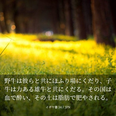 Picture 03 - イザヤ書 34:7 JPN - 野牛は彼らと共にほふり場にくだり - Bible Verse Picture