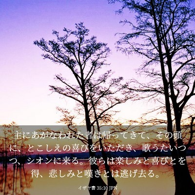 Picture 03 - イザヤ書 35:10 JPN - 主にあがなわれた者は帰ってきて、 - Bible Verse Picture