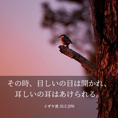 Picture 03 - イザヤ書 35:5 JPN - その時、目しいの目は開かれ、耳し - Bible Verse Picture