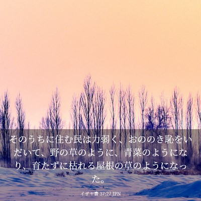 Picture 03 - イザヤ書 37:27 JPN - そのうちに住む民は力弱く、おのの - Bible Verse Picture