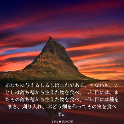 Picture 03 - イザヤ書 37:30 JPN - あなたに与えるしるしはこれである - Bible Verse Picture