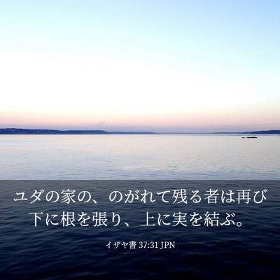 Picture 03 - イザヤ書 37:31 JPN - ユダの家の、のがれて残る者は再び - Bible Verse Picture