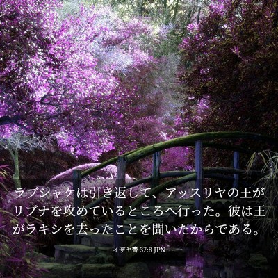 Picture 03 - イザヤ書 37:8 JPN - ラブシャケは引き返して、アッスリ - Bible Verse Picture