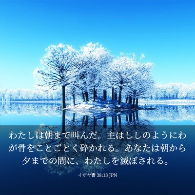 Picture 03 - イザヤ書 38:13 JPN - わたしは朝まで叫んだ。主はししの - Bible Verse Picture