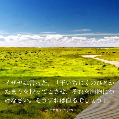 Picture 03 - イザヤ書 38:21 JPN - イザヤは言った、「干いちじくのひ - Bible Verse Picture