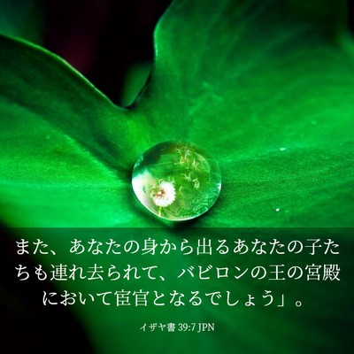 Picture 03 - イザヤ書 39:7 JPN - また、あなたの身から出るあなたの - Bible Verse Picture
