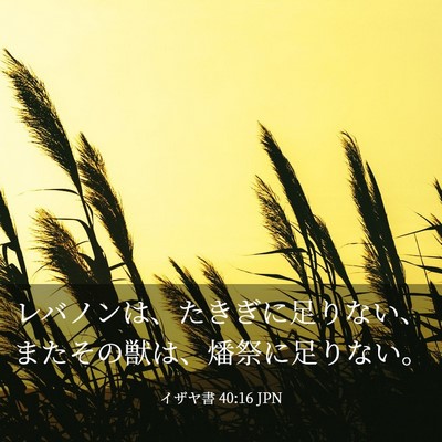 Picture 03 - イザヤ書 40:16 JPN - レバノンは、たきぎに足りない、ま - Bible Verse Picture