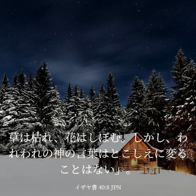 Picture 03 - イザヤ書 40:8 JPN - 草は枯れ、花はしぼむ。しかし、わ - Bible Verse Picture