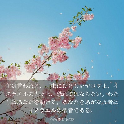 Picture 03 - イザヤ書 41:14 JPN - 主は言われる、「虫にひとしいヤコ - Bible Verse Picture