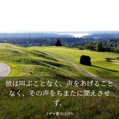 Picture 03 - イザヤ書 42:2 JPN - 彼は叫ぶことなく、声をあげること - Bible Verse Picture