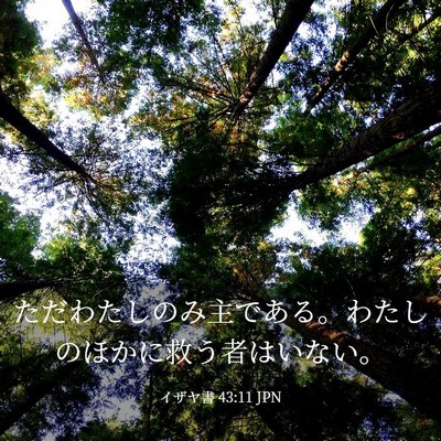 Picture 03 - イザヤ書 43:11 JPN - ただわたしのみ主である。わたしの - Bible Verse Picture