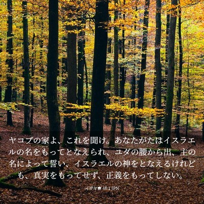 Picture 03 - イザヤ書 48:1 JPN - ヤコブの家よ、これを聞け。あなた - Bible Verse Picture