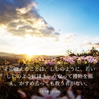 Picture 03 - イザヤ書 5:29 JPN - そのほえることは、ししのように、 - Bible Verse Picture