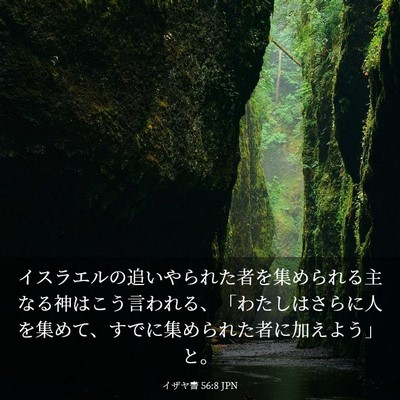 Picture 03 - イザヤ書 56:8 JPN - イスラエルの追いやられた者を集め - Bible Verse Picture